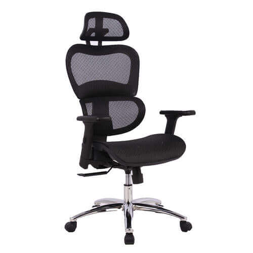 Ergonomic Executive Mesh Office Chair with Suspension Mesh Seat